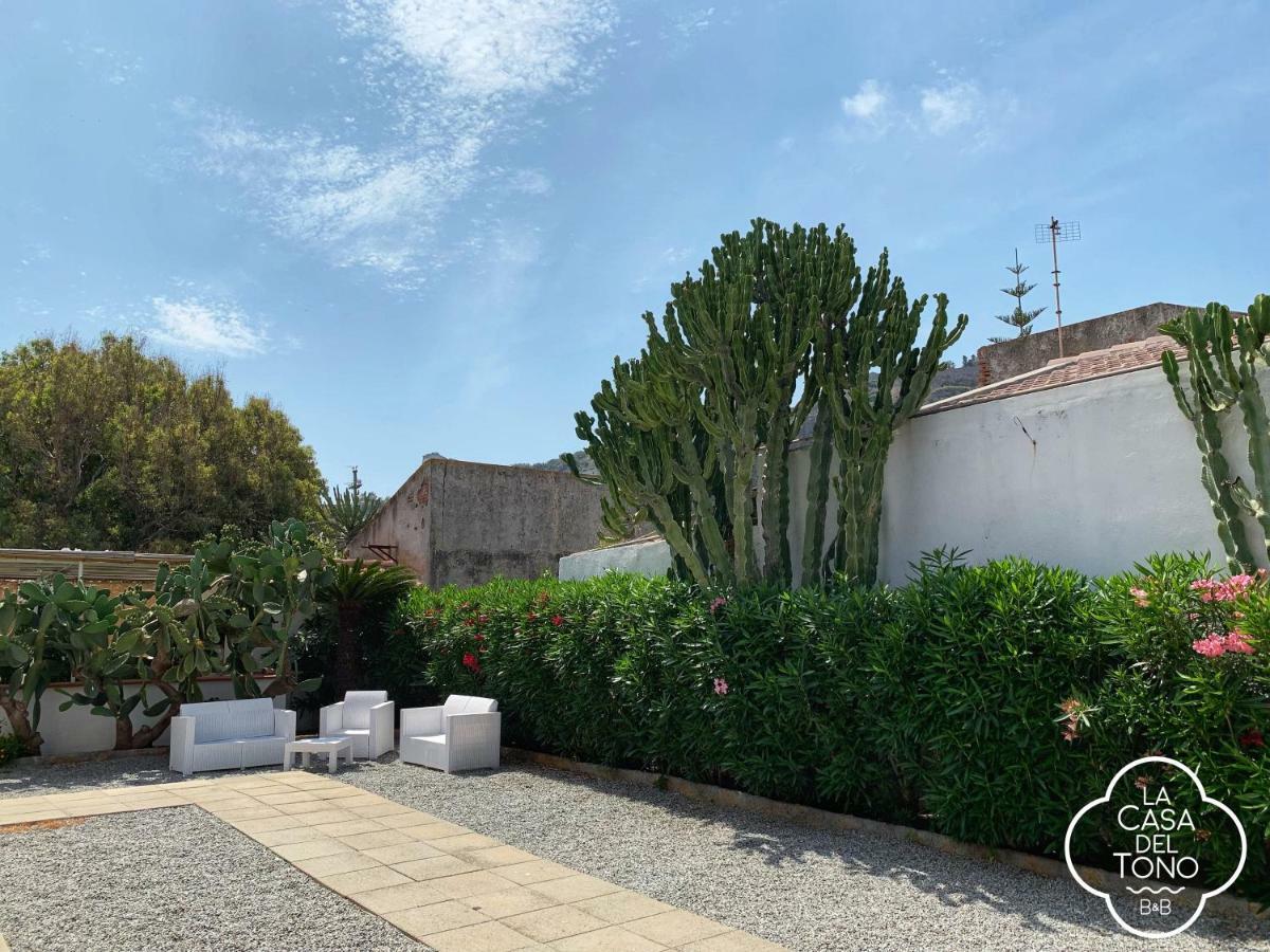 La Casa Del Tono