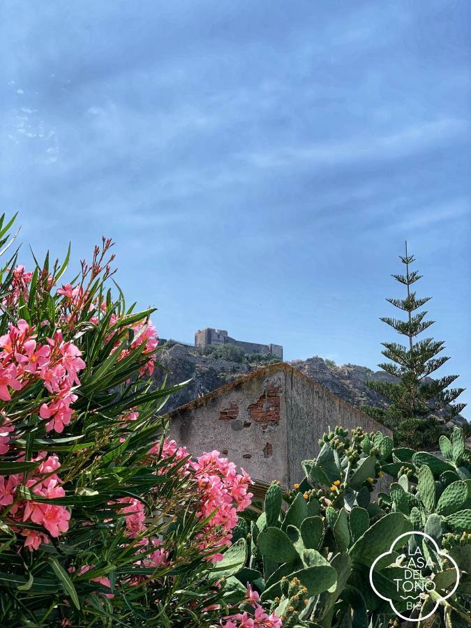 La Casa Del Tono Bed & Breakfast *